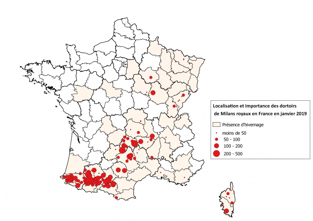 Réseau Milan royal ©