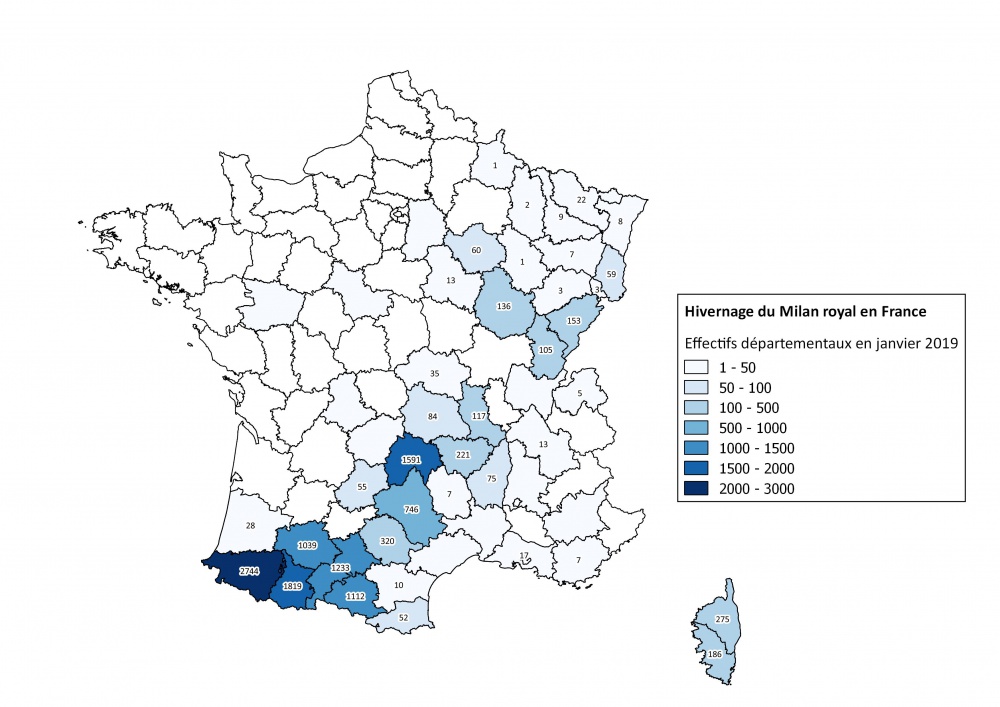 Réseau Milan royal ©