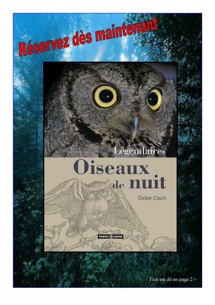 Légendaires Oiseaux de nuit