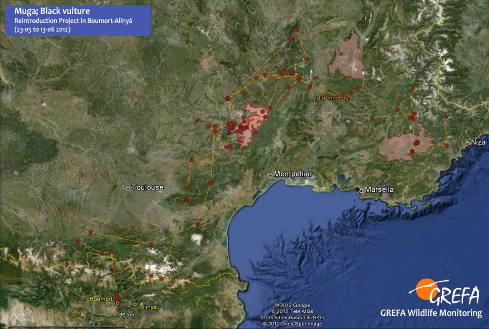 Carte des déplacements de Muga