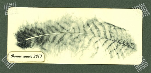 Duvet de Grand-duc. réalisation : V. et Y. Martin