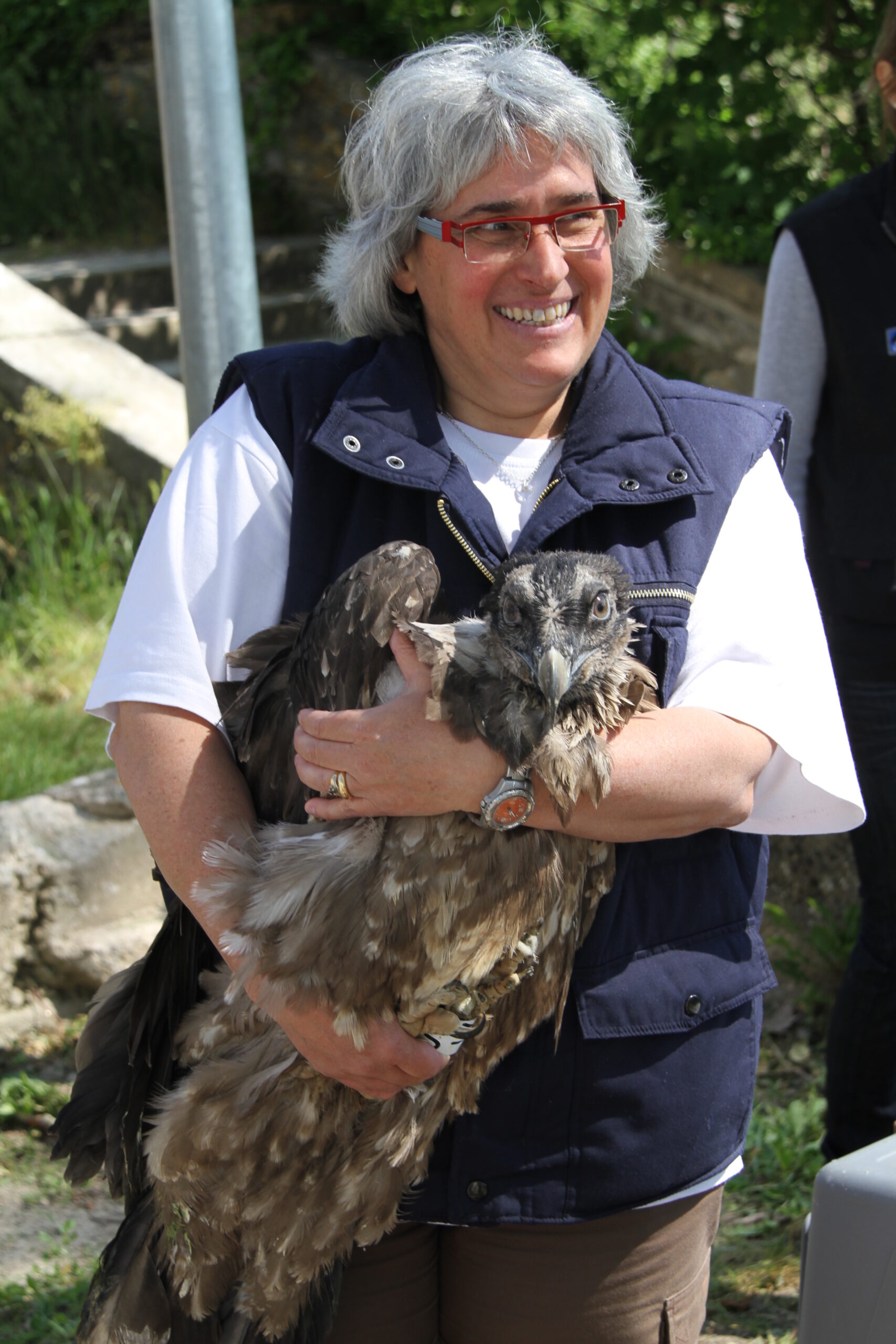 Présentation de DOURBIE - Sébastien Pernet, LPO Grands Causses ©