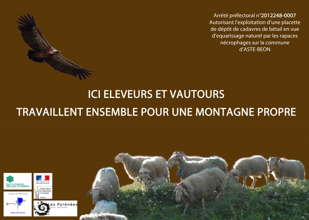 Panneau d'information sur la placette - Photo. PNP