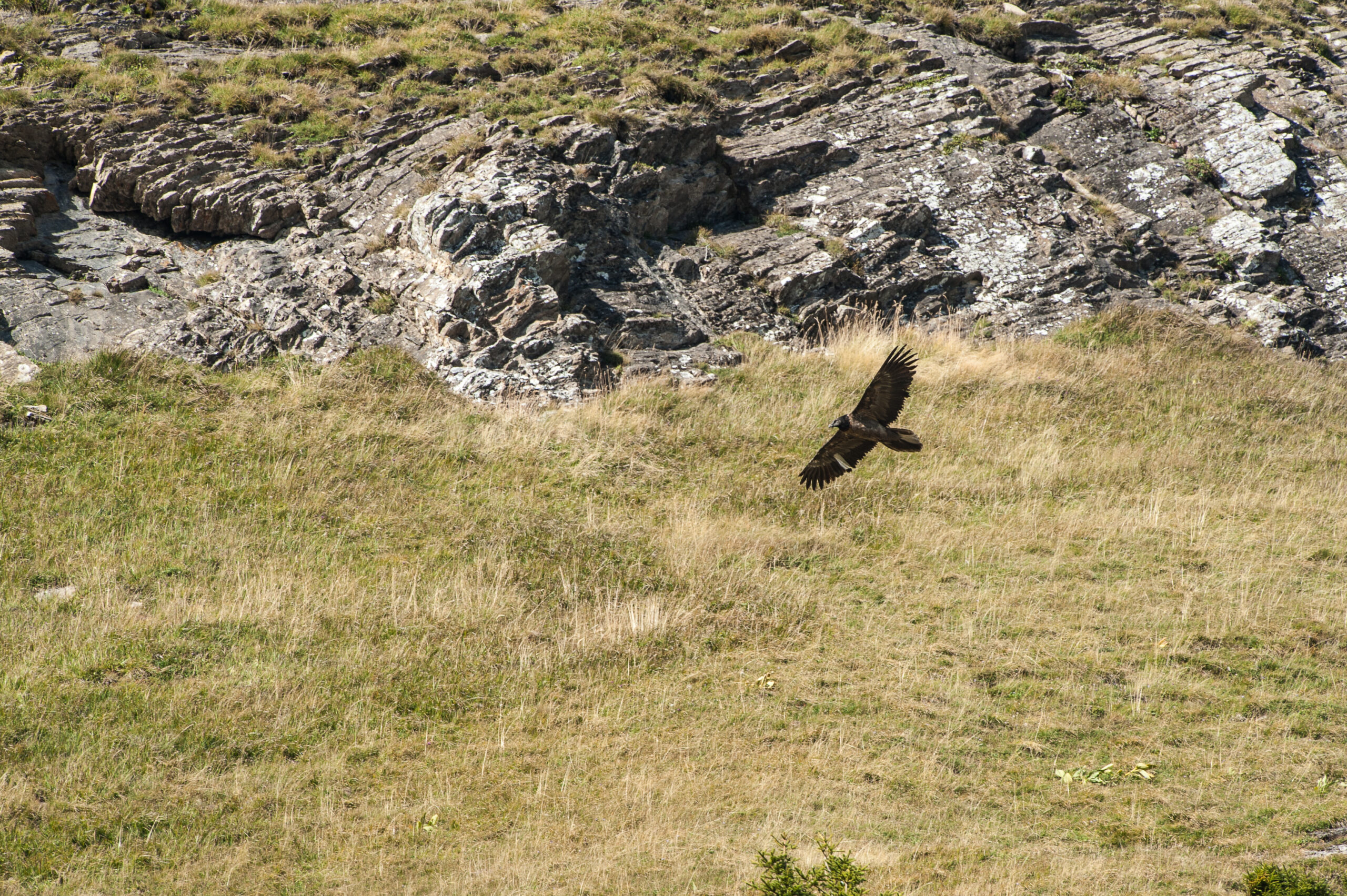 Basalte - ©Cyril Doche