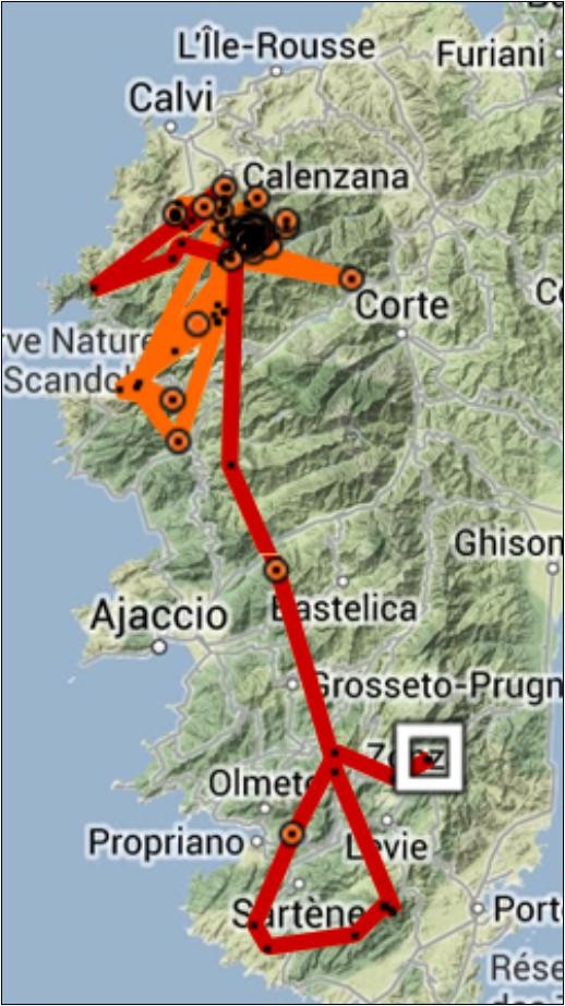Déplacement gypaète corse