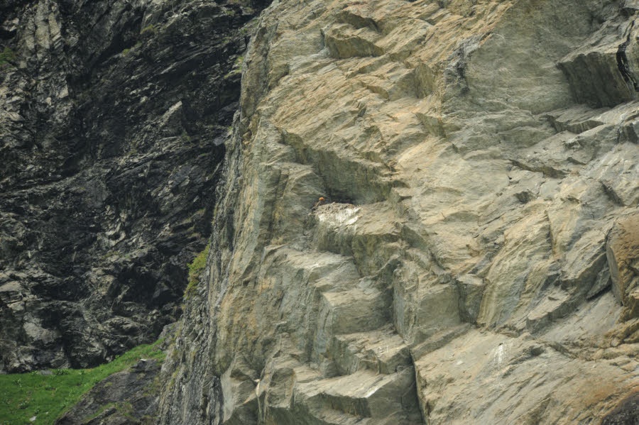 photo-jean-louis-danis