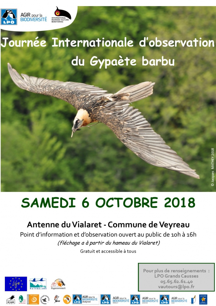 affichegranddpublic-copie-copie