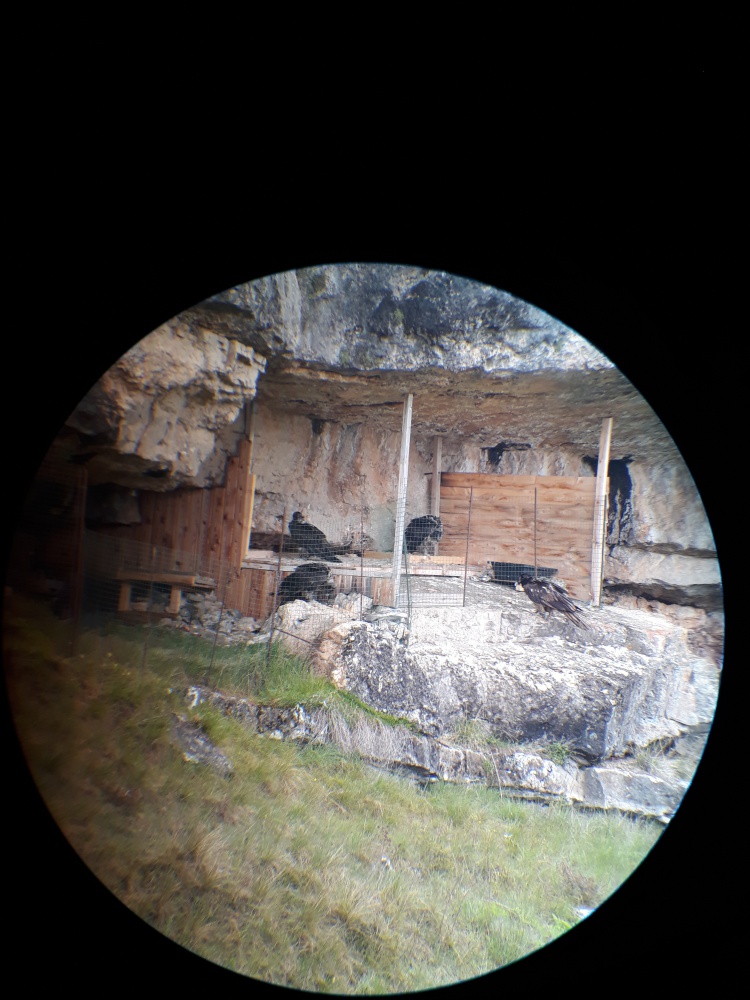 Arcana_devant_la_vire_080519_©NZiletti