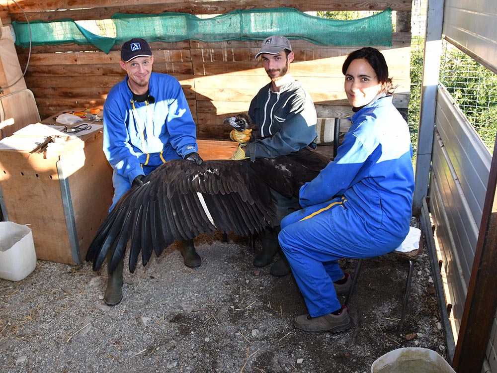 20181115posebalisevautoursmoinesgregorydelaunay