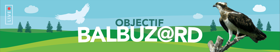 banniereactu-objectif-balbuzard