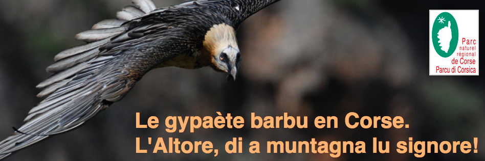 capture-ecran-2013-07-04-183738