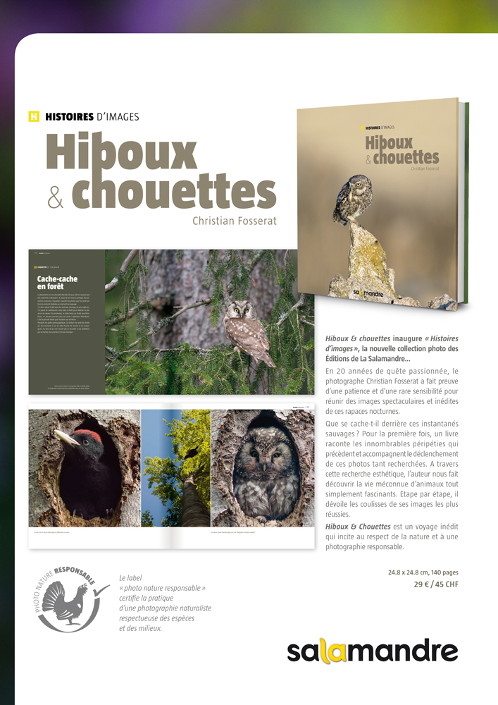 hiboux-et-chouettes