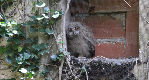 Un des trois jeunes nés en Hérault