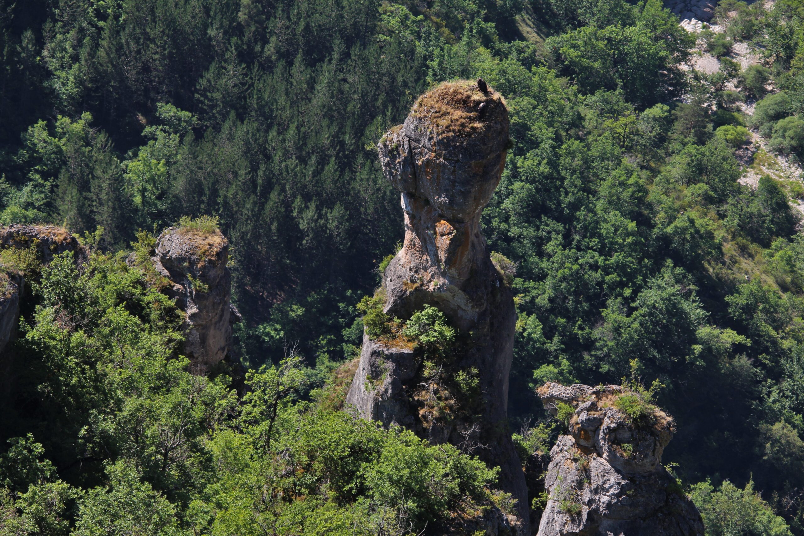 jeremydelolmeimg5664