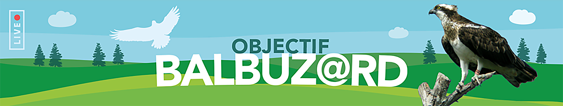 objectifbalbuzard