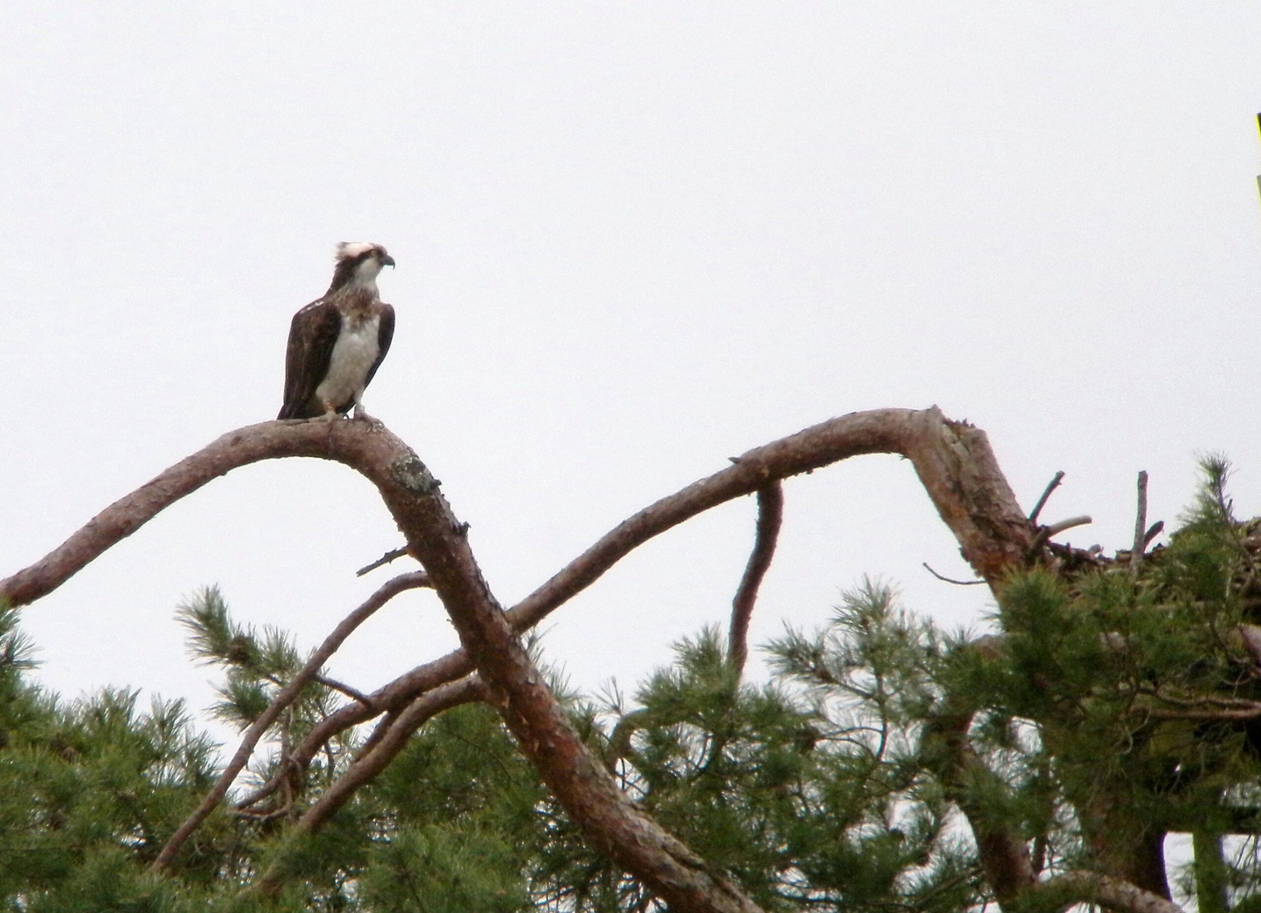 ravoir-1-le-28-02-2019-02