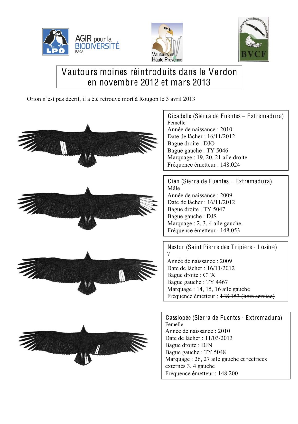 vm-verdon-20122013-image