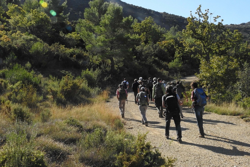 La sainte-Baume, le 6 octobre 2019. L.Albesa