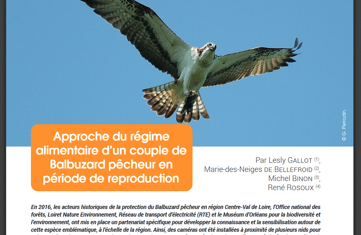 illu-article-regime-alimentaire