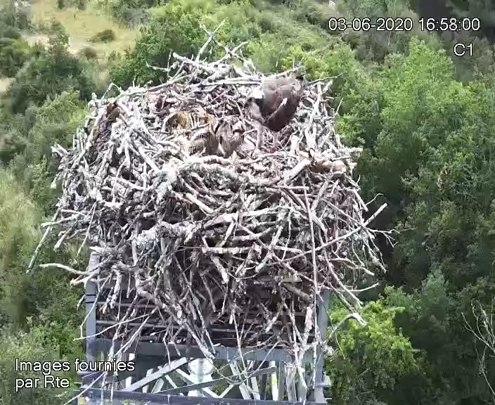 snapshot-20200605184154