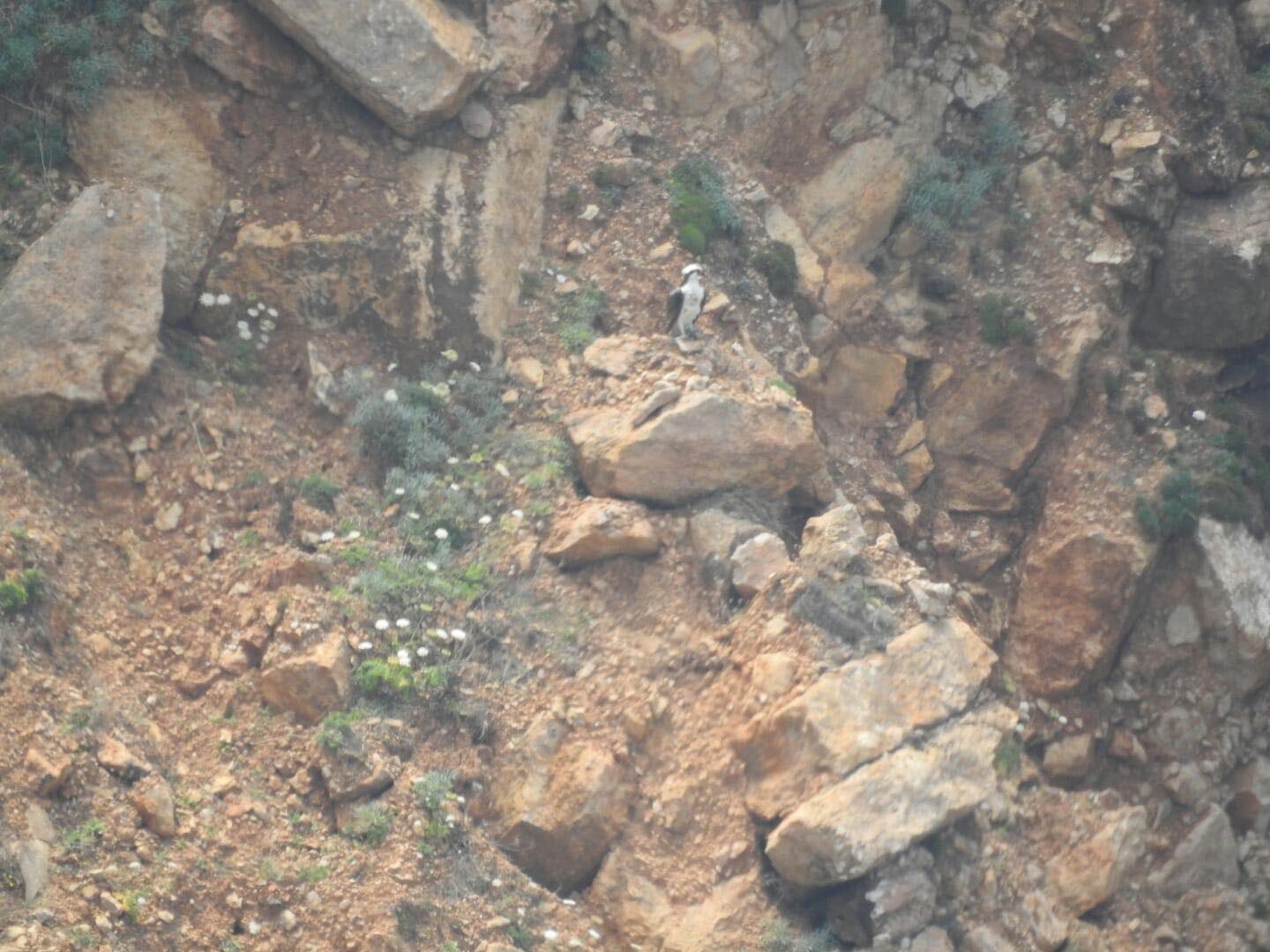 ©Parco naturale regionale di Porte Conte