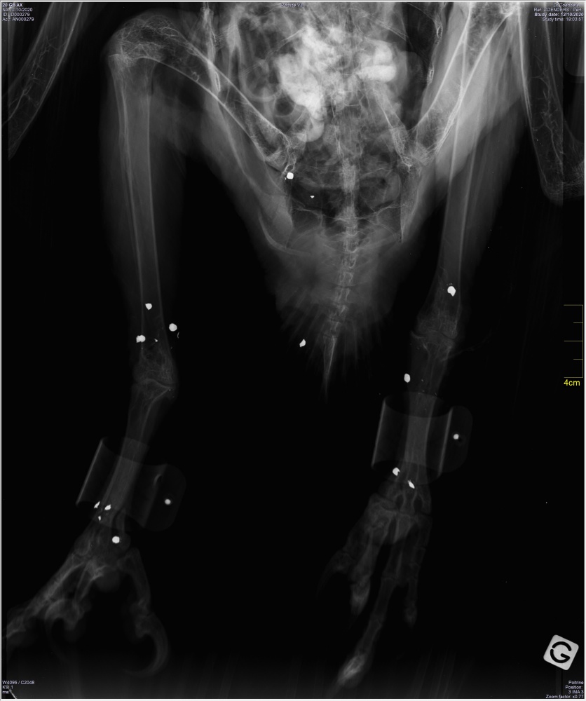 Radio Dolomie©LPO GC
