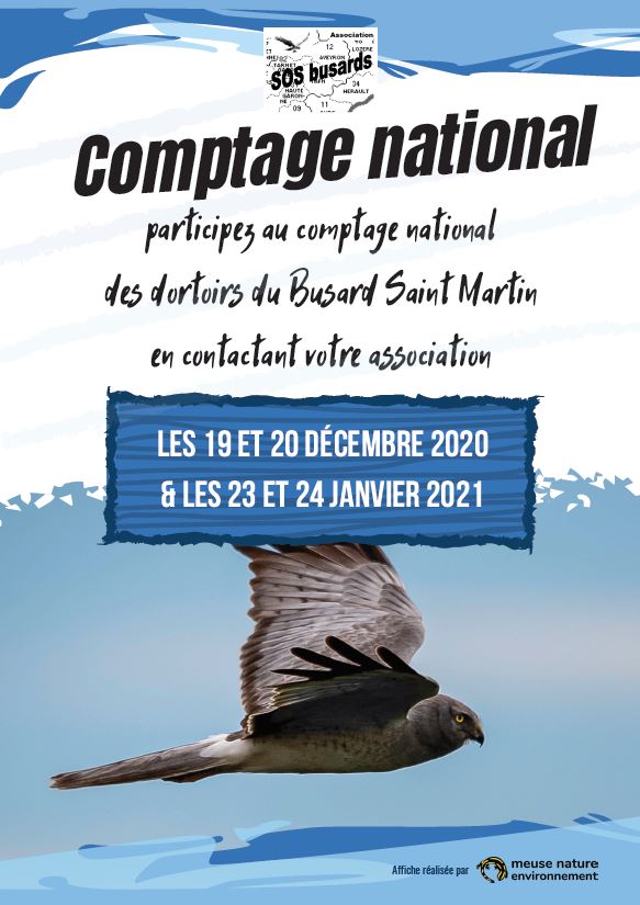 affiche-comptage-bsm-sos-busards