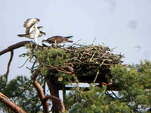 ravoir-1-le-13-05-2021-premi-res-becqu-es-001moment