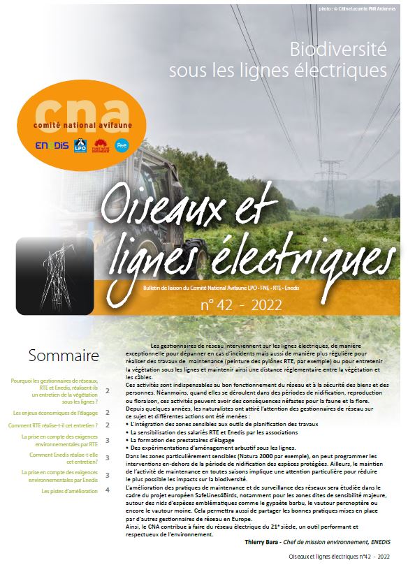 biodiverst-sous-les-lignes